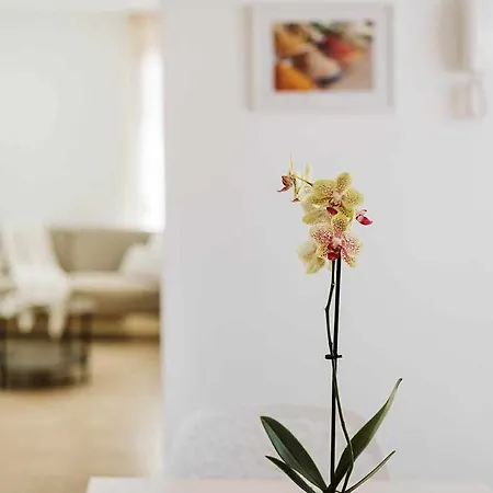 Lyra, Piscina Climatizada فيلة بلايا بلانكا