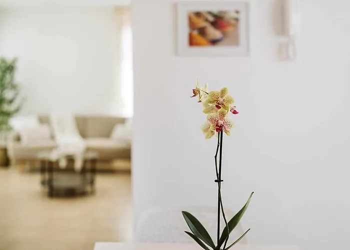 Lyra, Piscina Climatizada Villa Playa Blanca (Lanzarote)